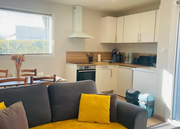 Les Oiseaux De La Slack Feriehus *